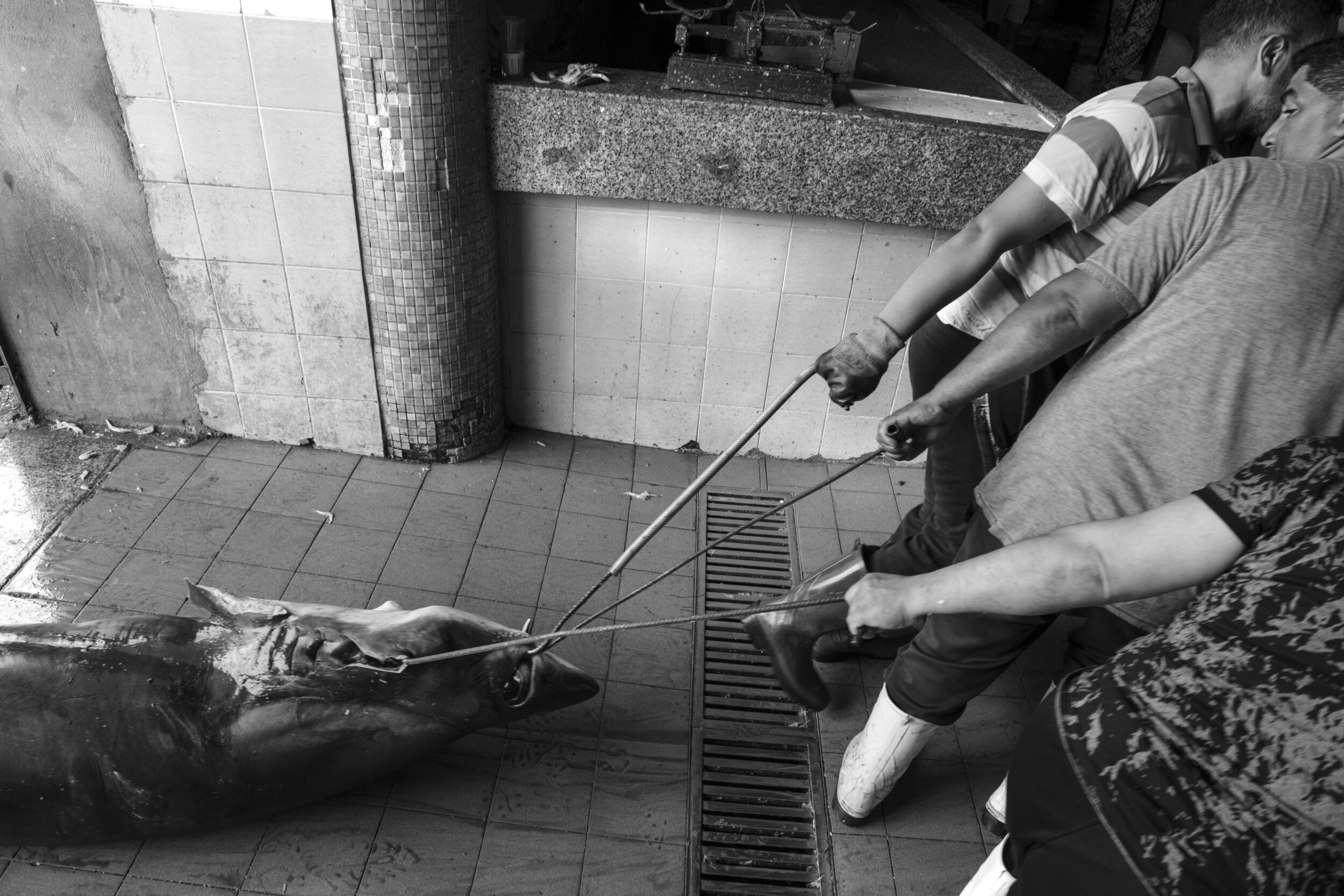 Mercado del pescado, Tánger